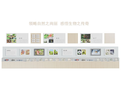 标本生物标本墙实验室墙面装饰