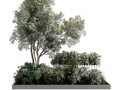现代绿植花池