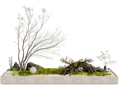 现代室内景观 室内景观造景 庭院小品 景观树 植物组合