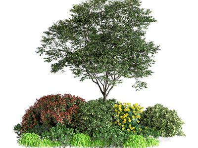 植物堆
