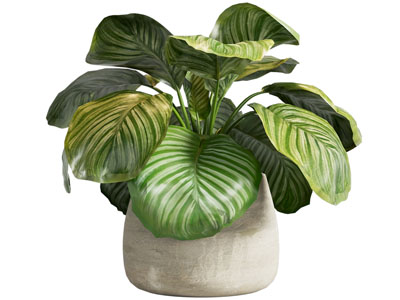 现代绿植盆栽