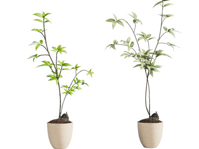 新中式中古绿植摆件