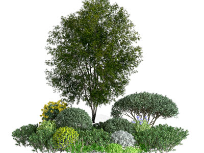 植物堆