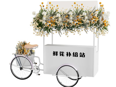 美陈 花车 三轮花车 自行车 鲜花售卖
