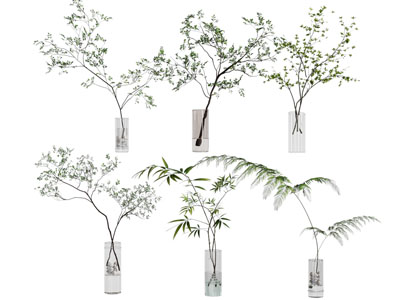 水生植物