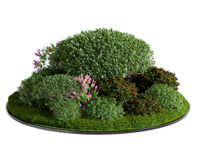 植物堆