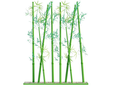 粗竹硬朗简洁活动时尚网红打卡