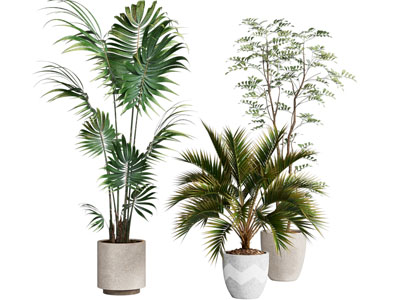 现代绿植盆栽