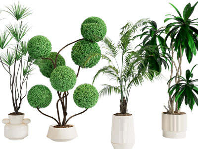 盆栽 米兰球形植物 绿植盆栽组合