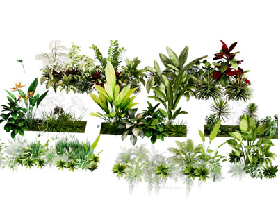 植物堆