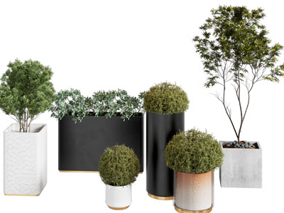 现代绿植盆栽