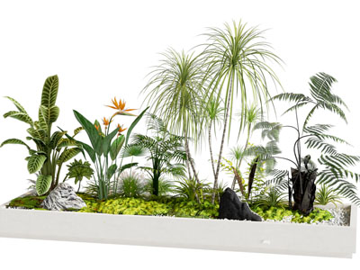 植物堆