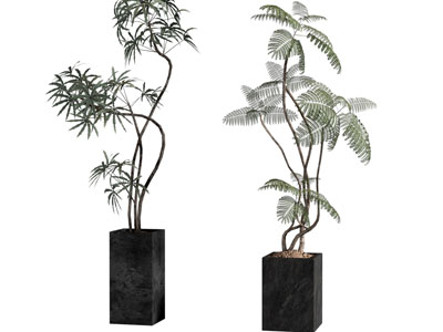盆栽 中古风绿植 盆栽