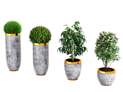 新中式绿植盆栽