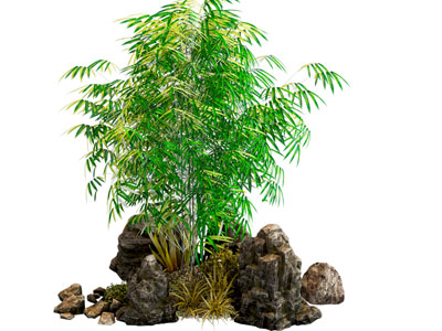 新中式假山