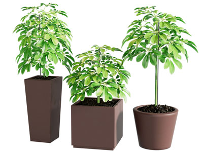 现代陶艺花盆盆景盆栽植物