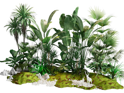 植物堆