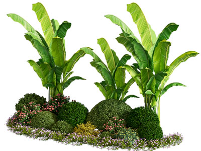 植物堆