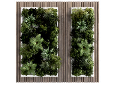 现代植物墙