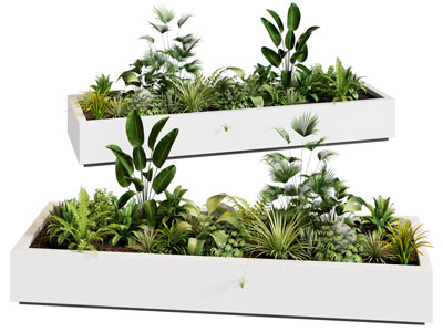 植物堆