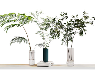 水生植物