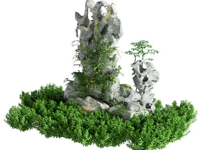 现代假山植物