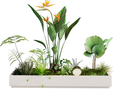 植物堆