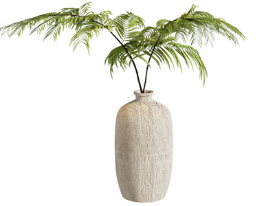 蕨类绿植花瓶 花艺