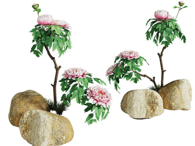 新中式牡丹 石头景观园艺小品