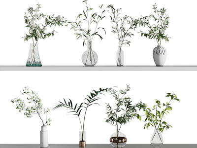 现代水生植物 水培绿植