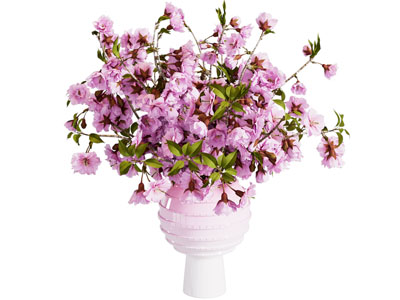 现代花瓶 花艺 插花 樱花