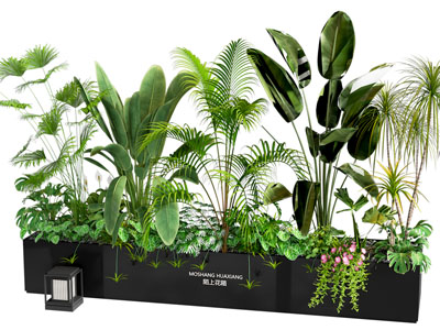 植物堆