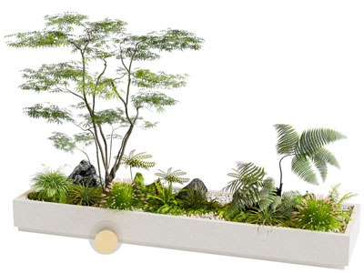 植物造景 植物堆