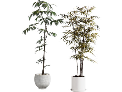 盆栽 新中式绿植盆栽
