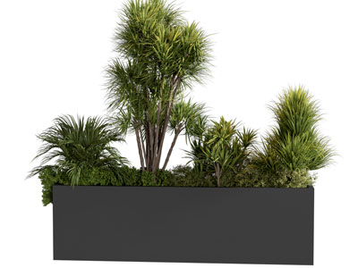 中古复古盆景盆栽植物