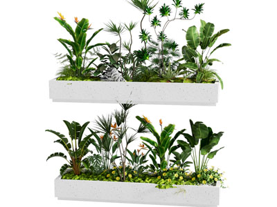 植物堆 植物组合 植物景观 室内景观 植物堆 花池