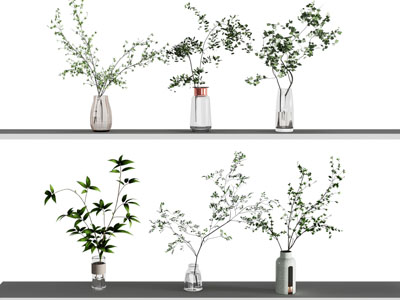 水生植物