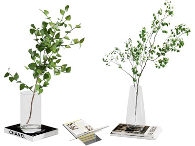 现代水生植物
