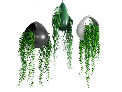 现代多肉植物挂件 盆景盆栽植物