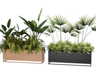 现代植物盆栽