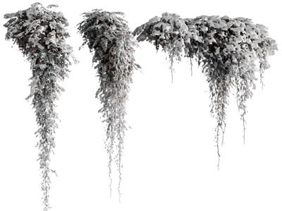现代雪景藤蔓