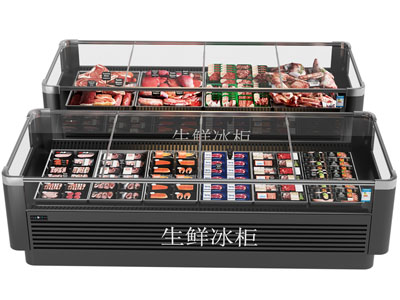 冰箱 保鲜柜 冷藏柜 冰柜 肉柜 肉制品