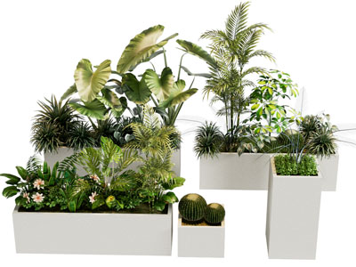 花箱 植物堆 外摆绿植花箱 植物组合花箱