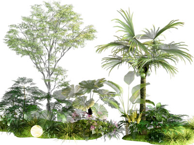 植物堆