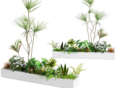 绿植 绿植堆 植物造景 盆栽