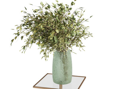 花瓶 花艺 水生植物