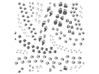动物脚印 卡通元素 图案插画