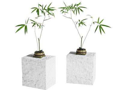 现代中式花艺 绿植 茶桌 盆景 书桌 竹