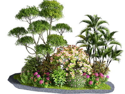 植物堆 灌木 花境 花草组合 花卉 杜鹃花