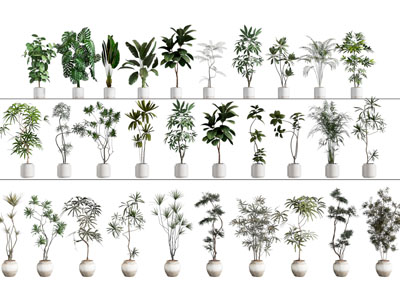 盆栽 绿植 盆栽 绿植盆栽组合